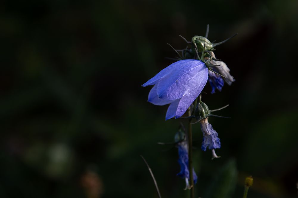 Photograph by Svetlana Jegorova