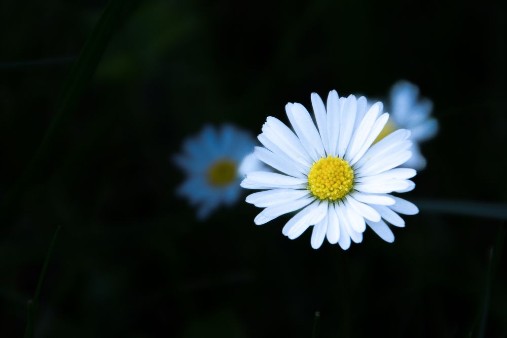 Photograph by Svetlana Jegorova