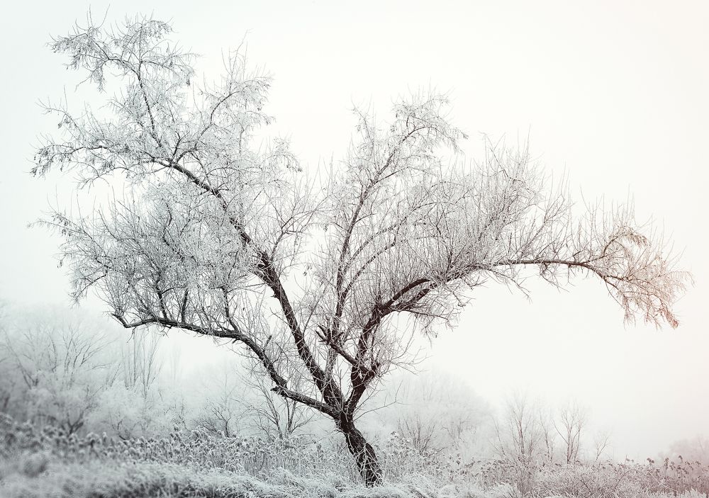 Photograph by Дёгтев Евгений