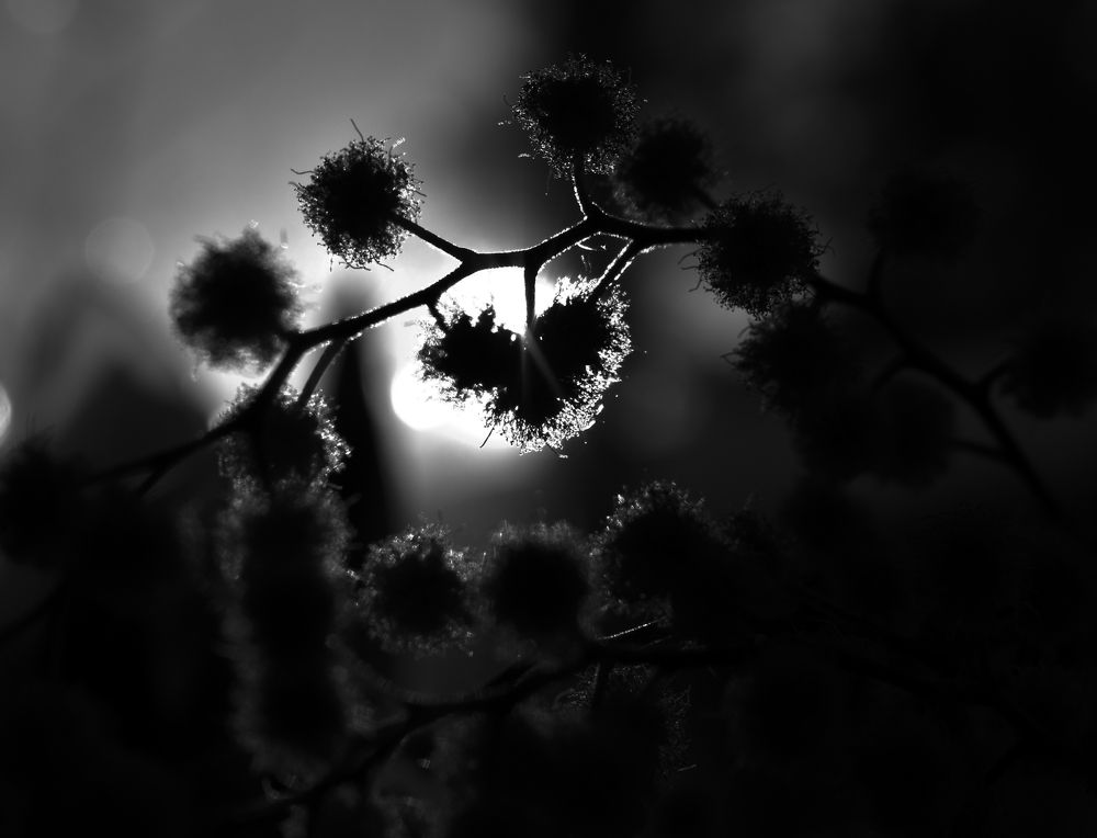 Фотография автора АНАСТАСИЯ ЛЕВИНА