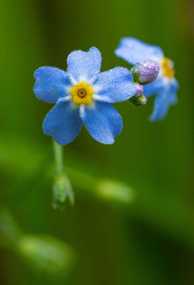 Photograph by Артём Малышев