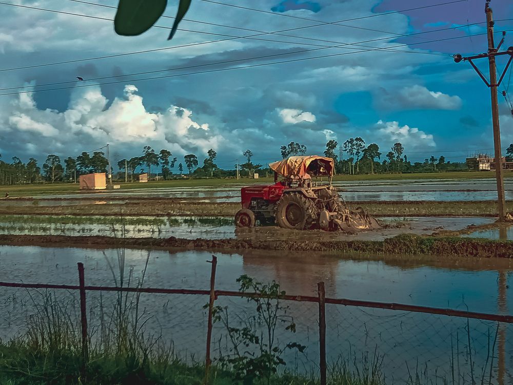 Photograph by Souvik Bhattacharyya