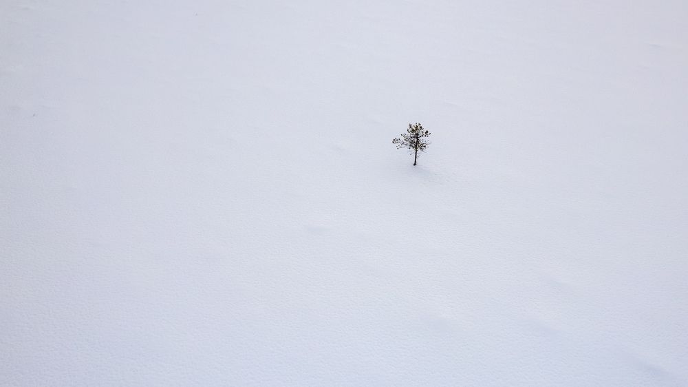 Photograph by Дмитрий Геращенко