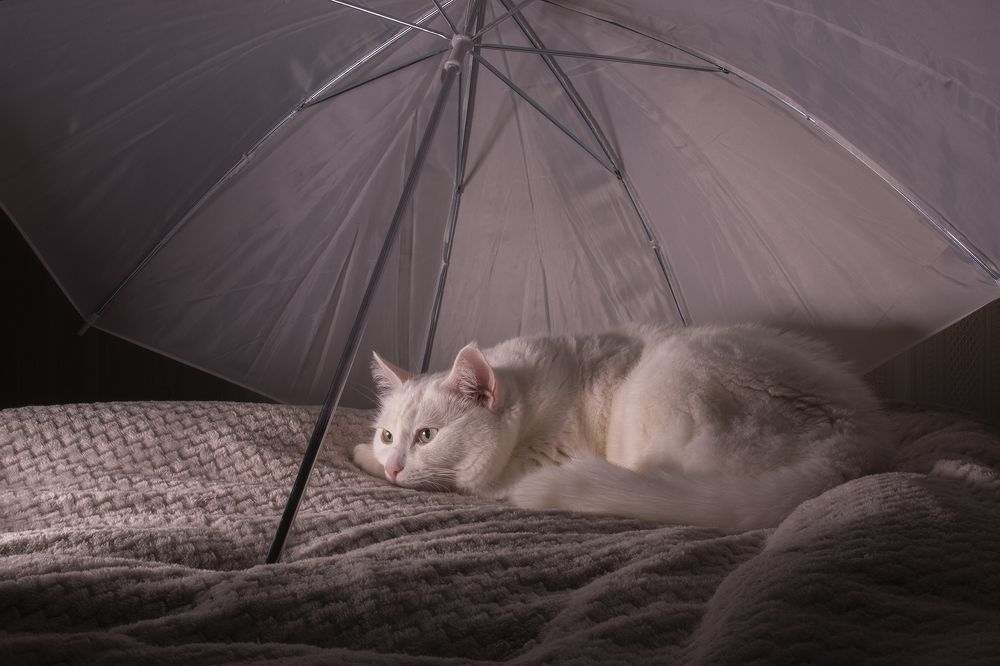 Photograph by Екатерина Бурикова