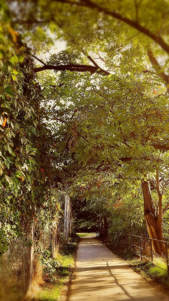 Фотография автора Ева Евстропова