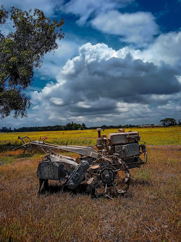 Photograph by Souvik Bhattacharyya