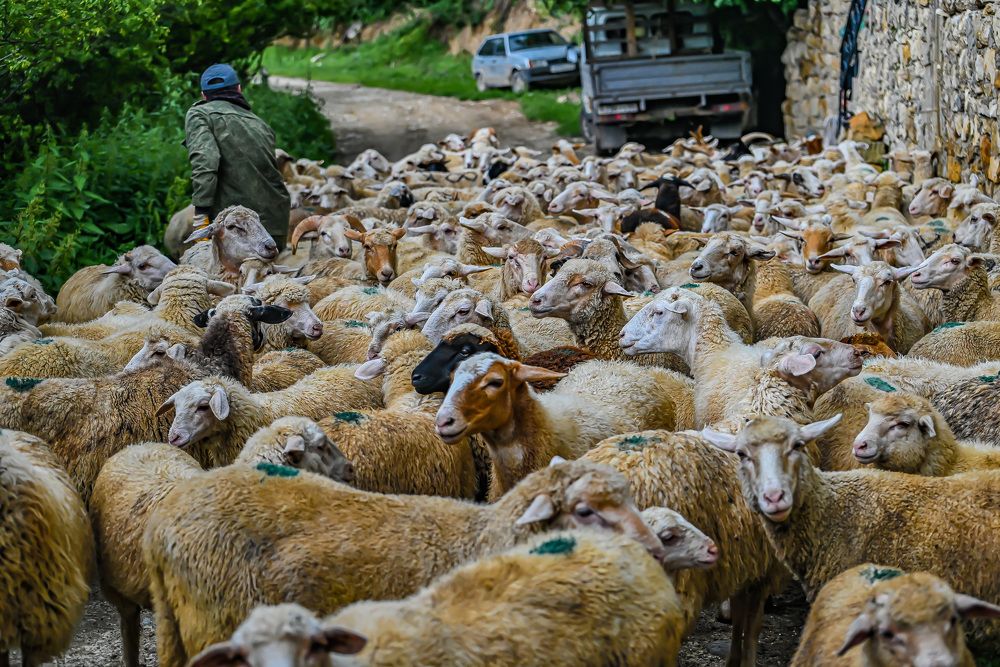 Photograph by Инна Гаджиева