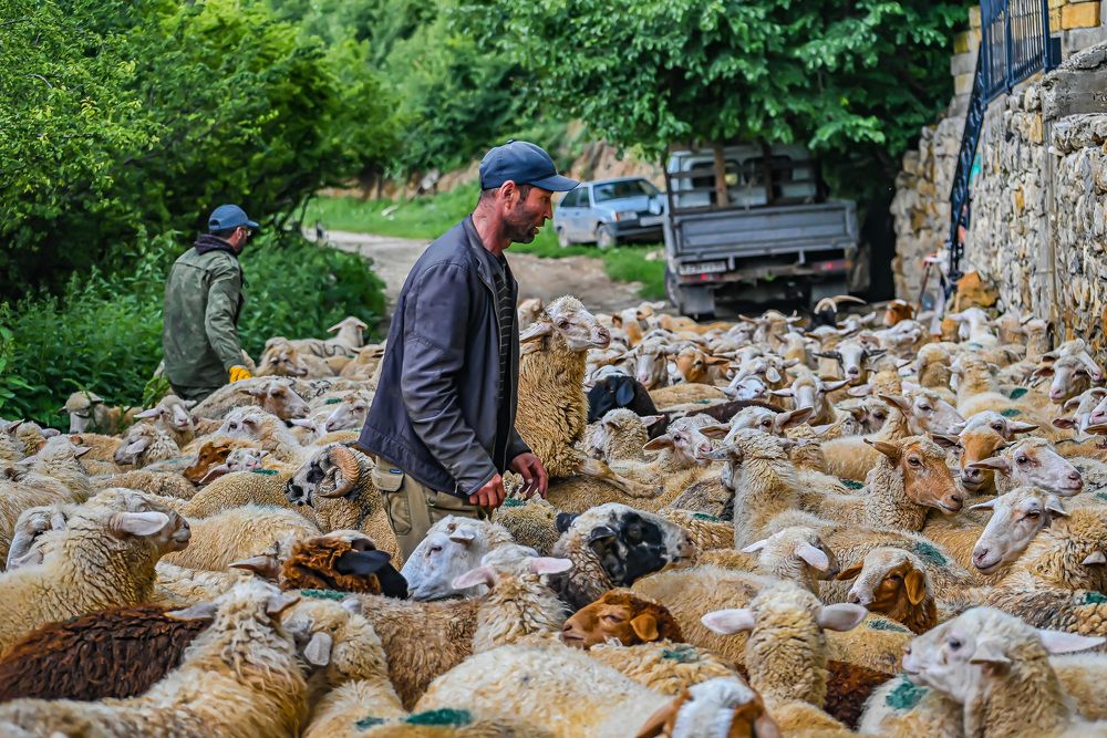 Photograph by Инна Гаджиева