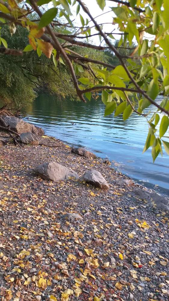 Photograph by Нина Романюк