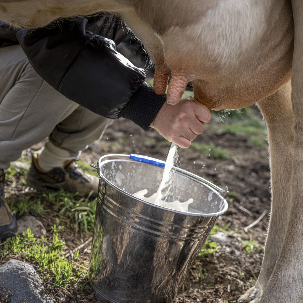 Photograph by Сергей Танков