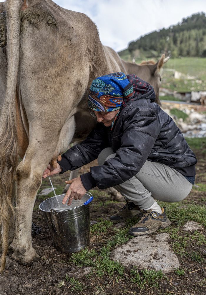 Photograph by Сергей Танков