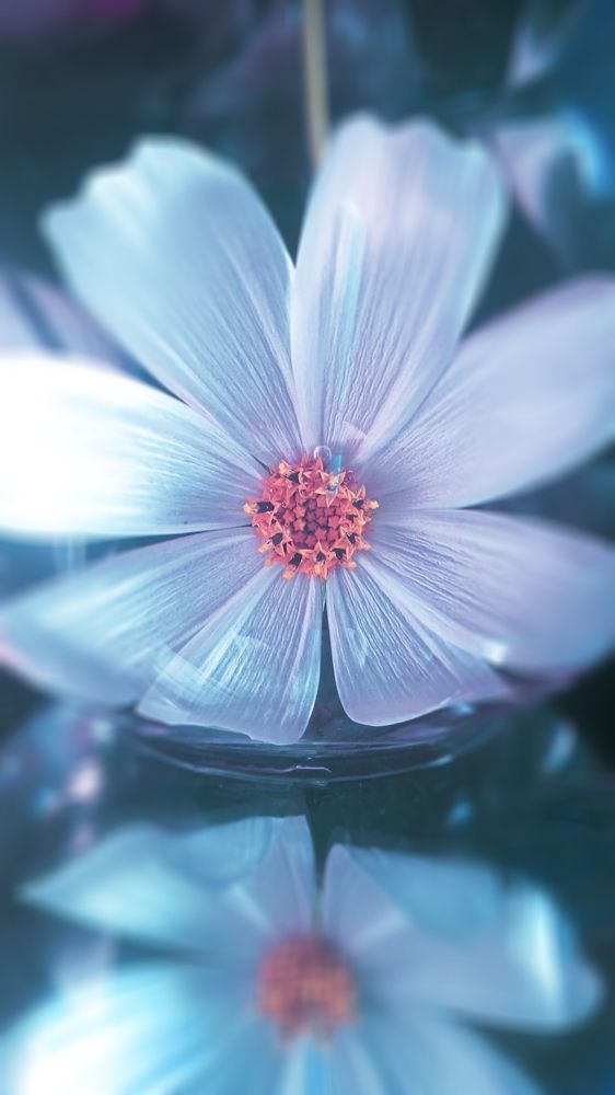 Photograph by Ольга Рыкова