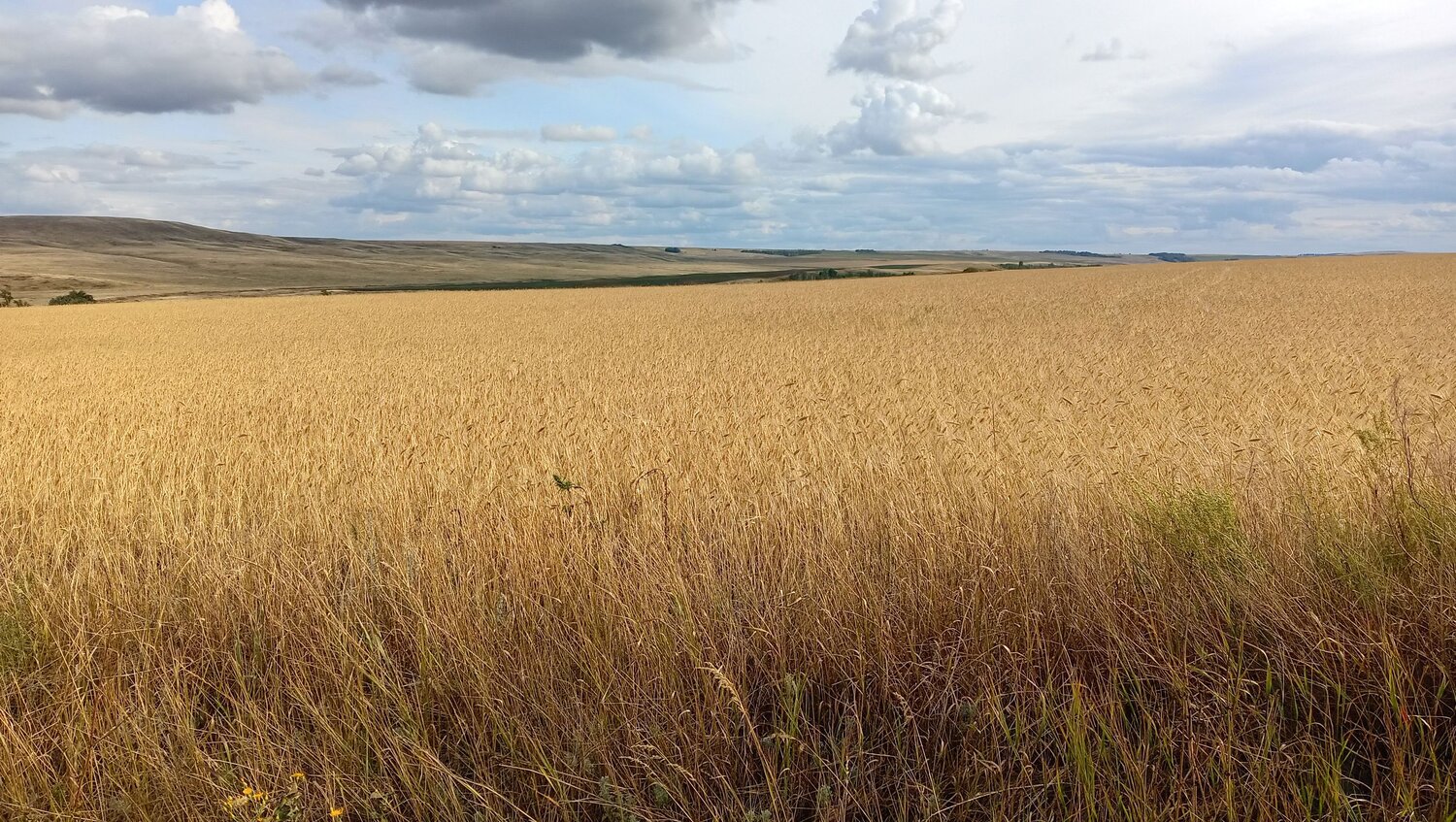 Photo #9609259