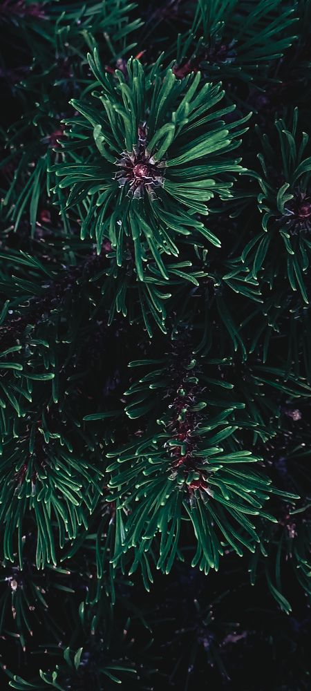 Фотография автора Анастасия Владимирова