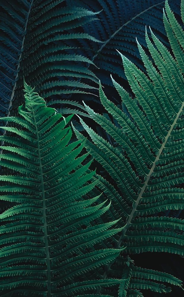 Фотография автора Анастасия Владимирова