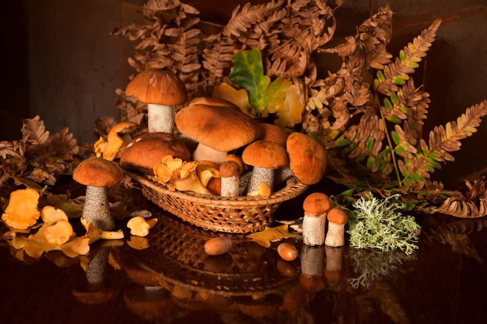 Photograph by Ирина Алексеева