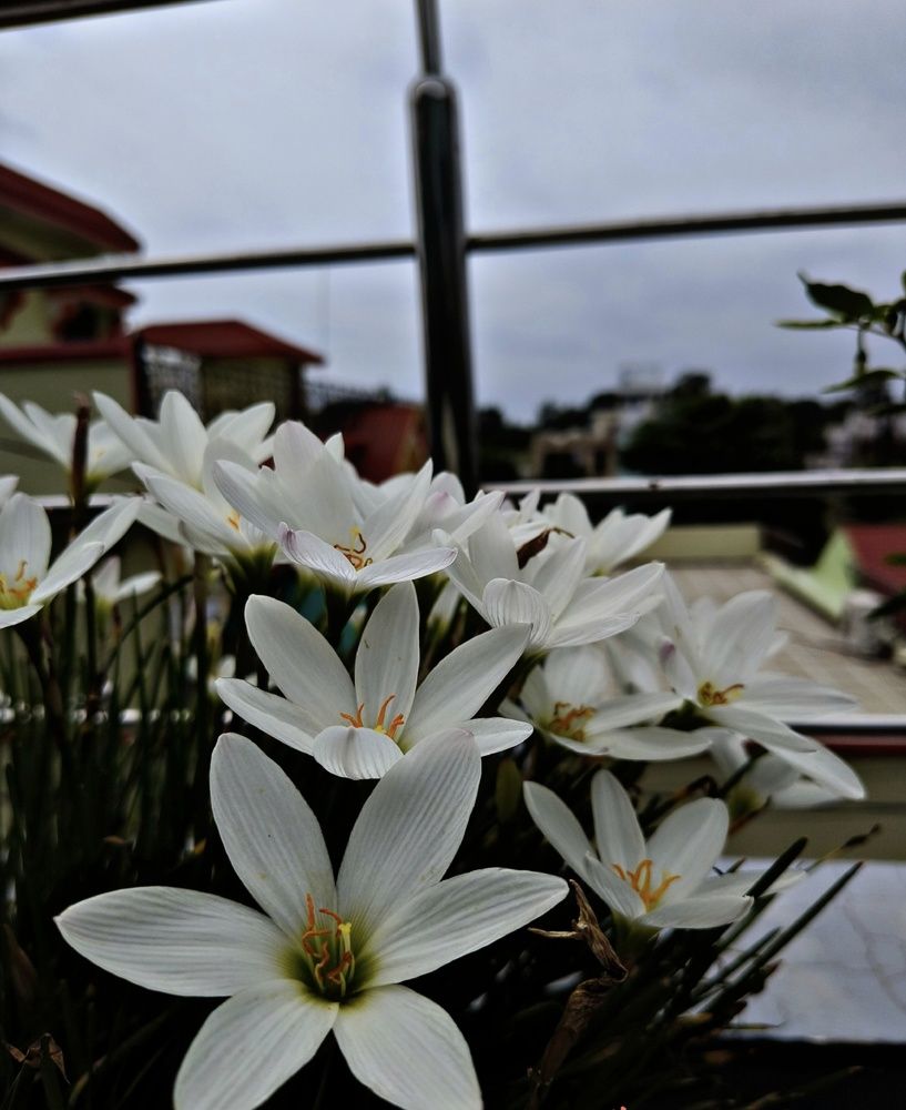 Photograph by Ajay Bamniya