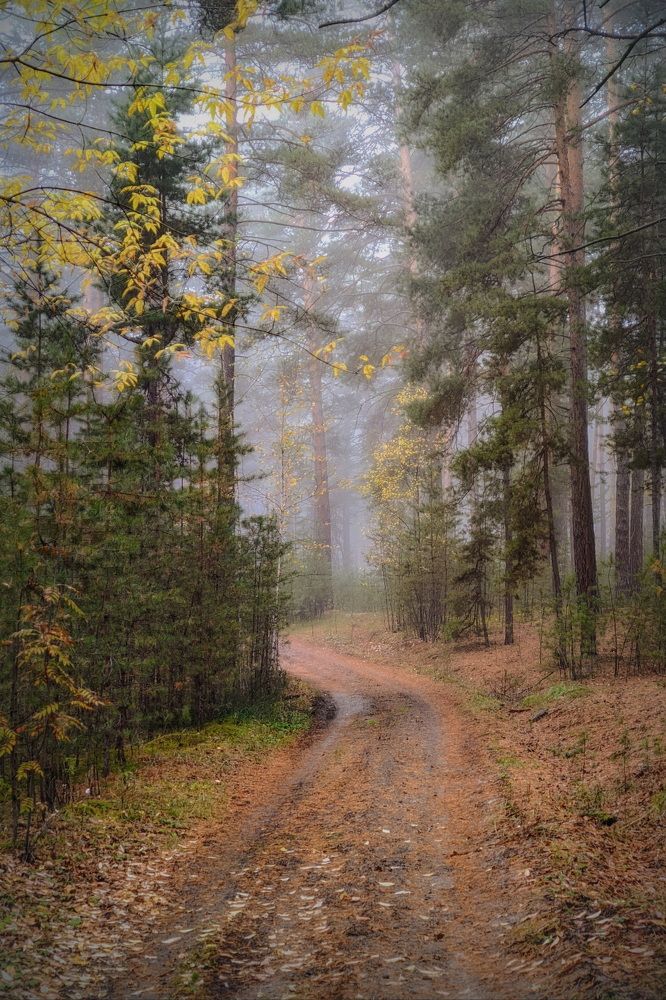 Осеннее утро