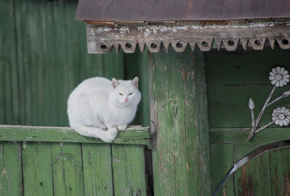 Photograph by Anton Gaev