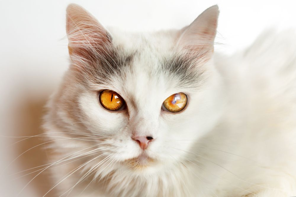 Photograph by Наталья Саксонова