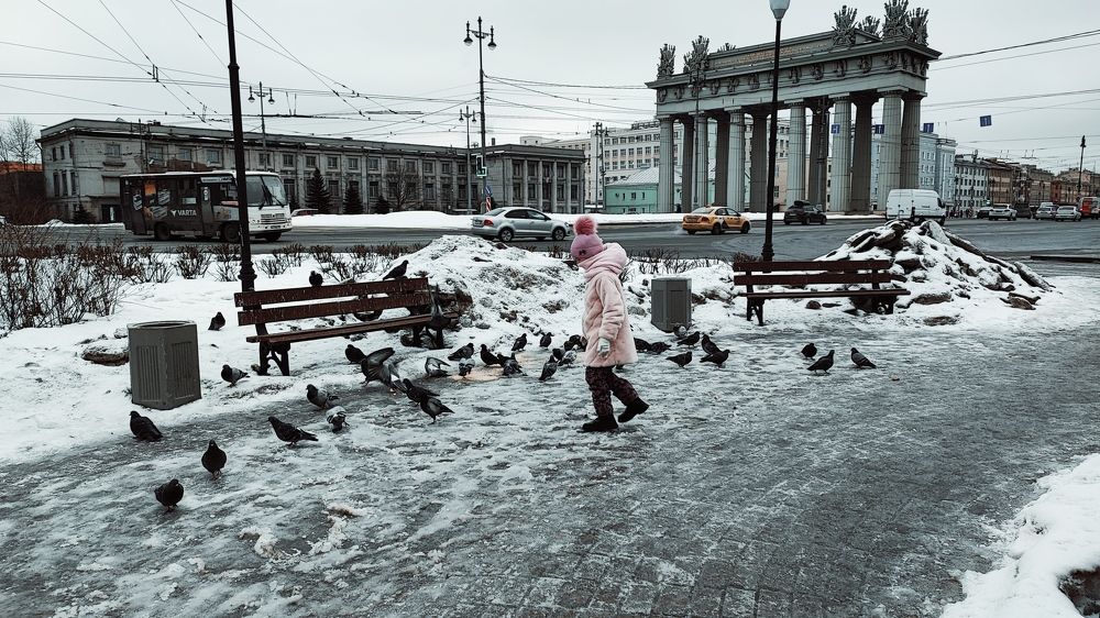 Голуби Питера