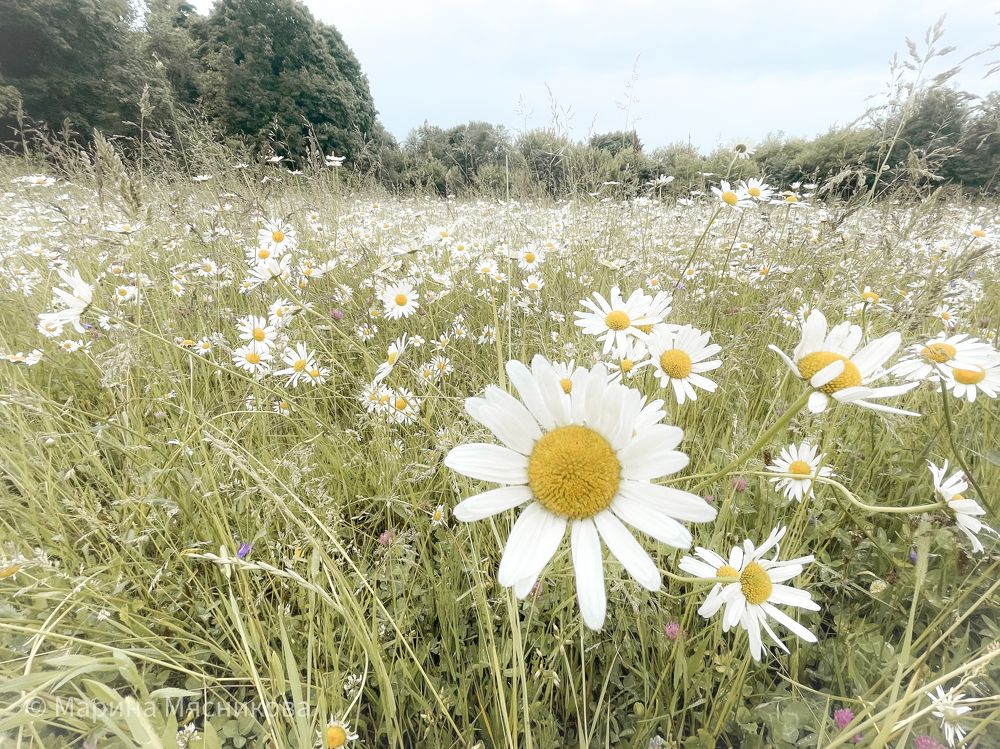 Photograph by Марина