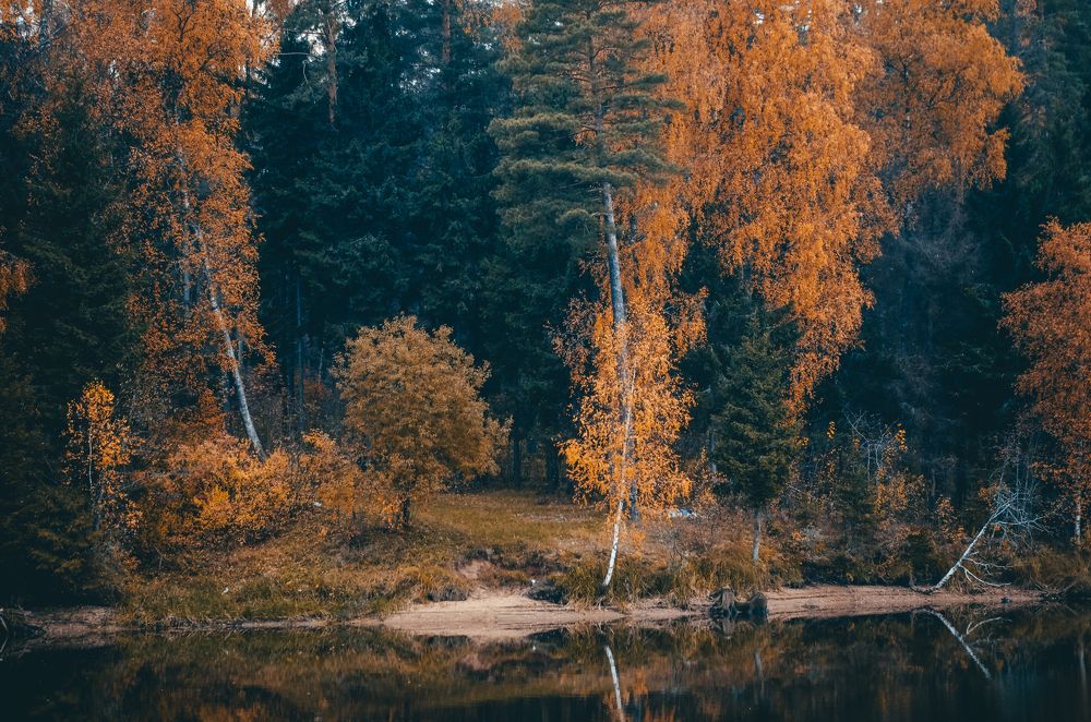 Photograph by Марина