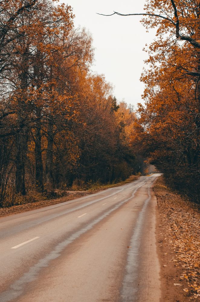 Photograph by Марина