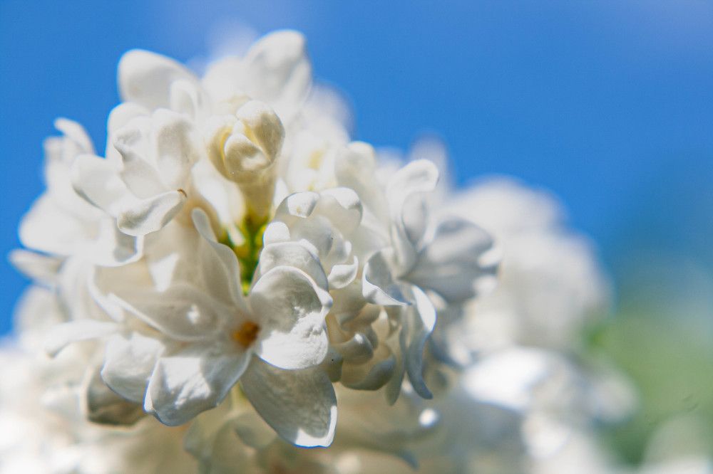 Фотография автора Ирина Гриценко