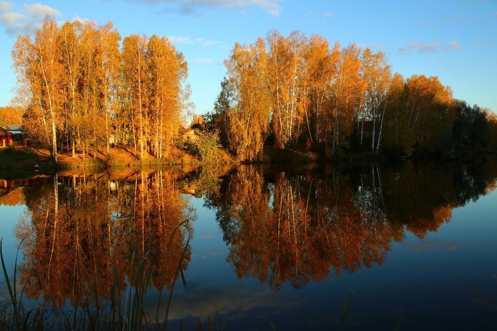 Золото осени.
