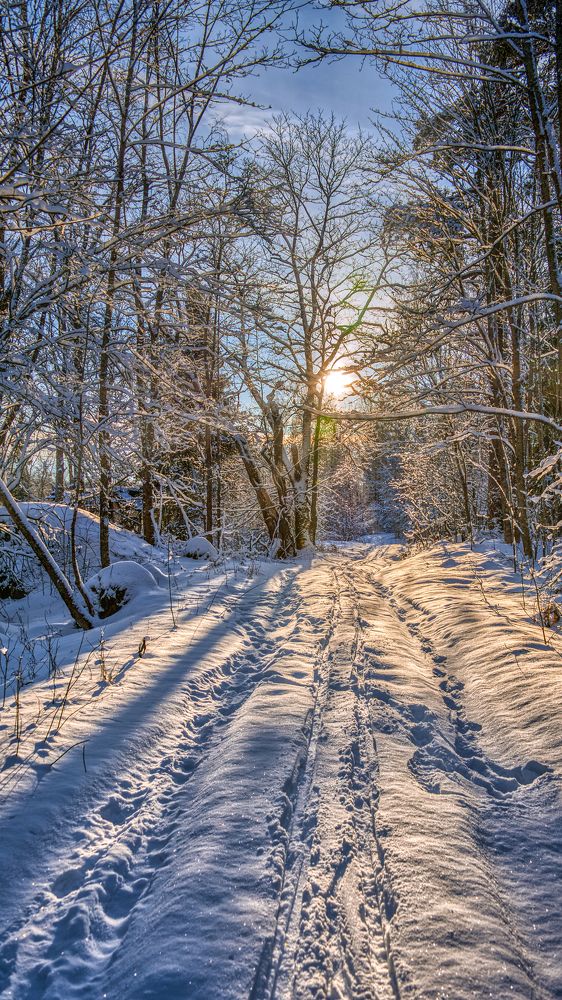 Photograph by Сергей Малеев