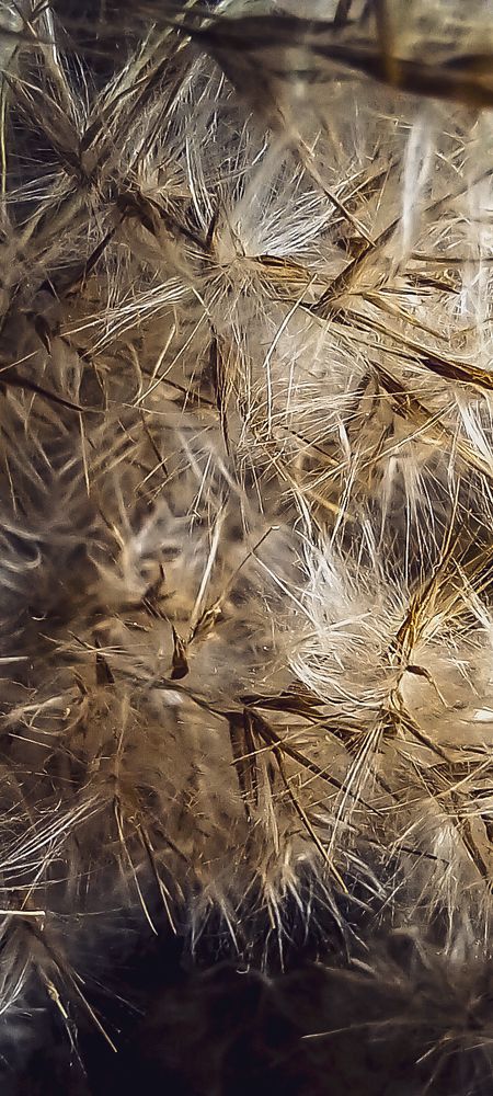 Фотография автора Анастасия Владимирова