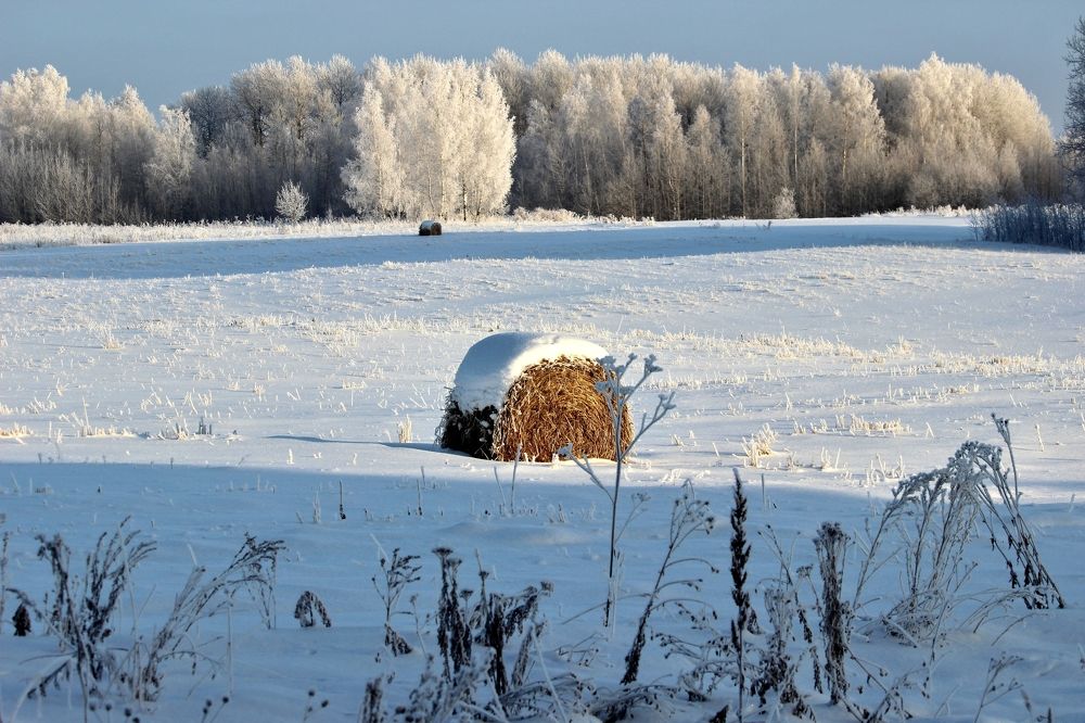 Photograph by Галина Мазур