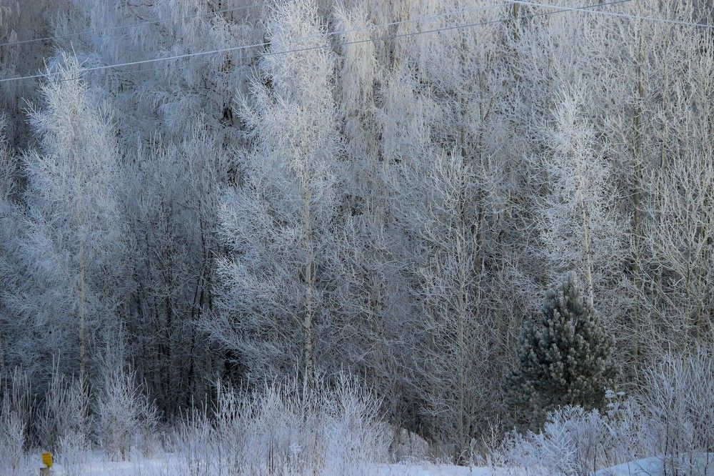 Photograph by Галина Мазур