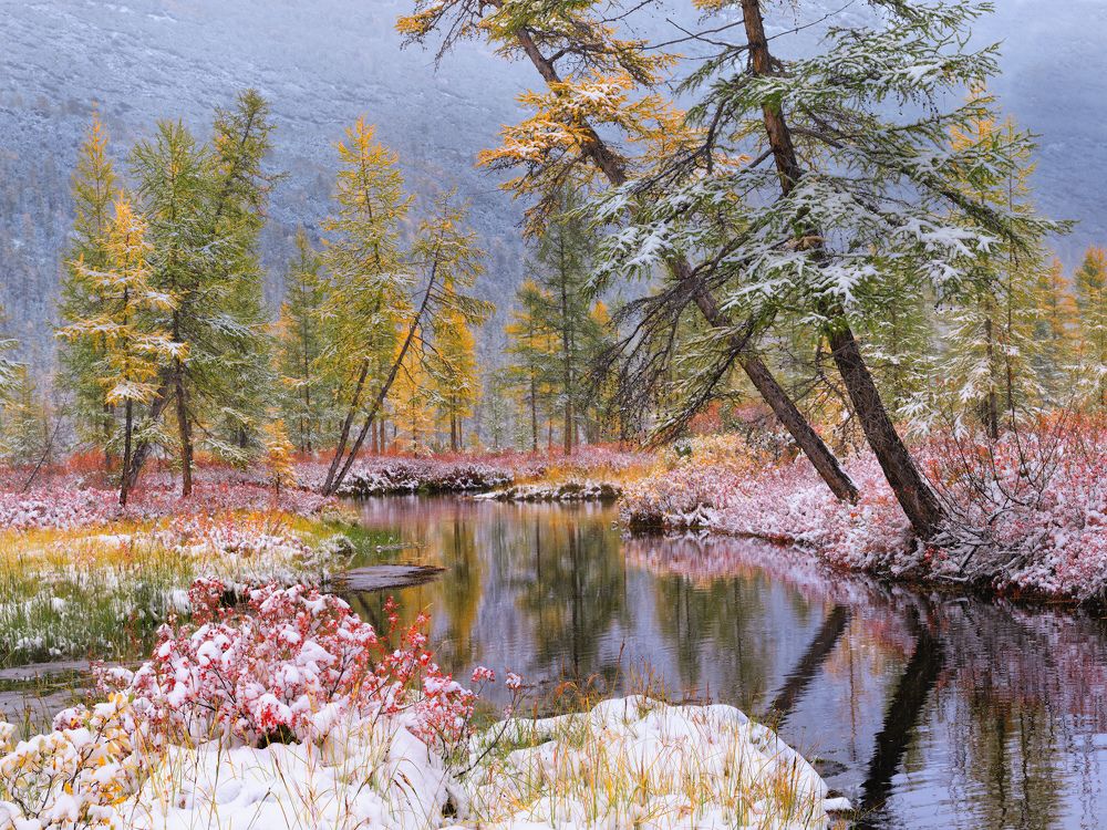 Photograph by Dmitry Medyancev