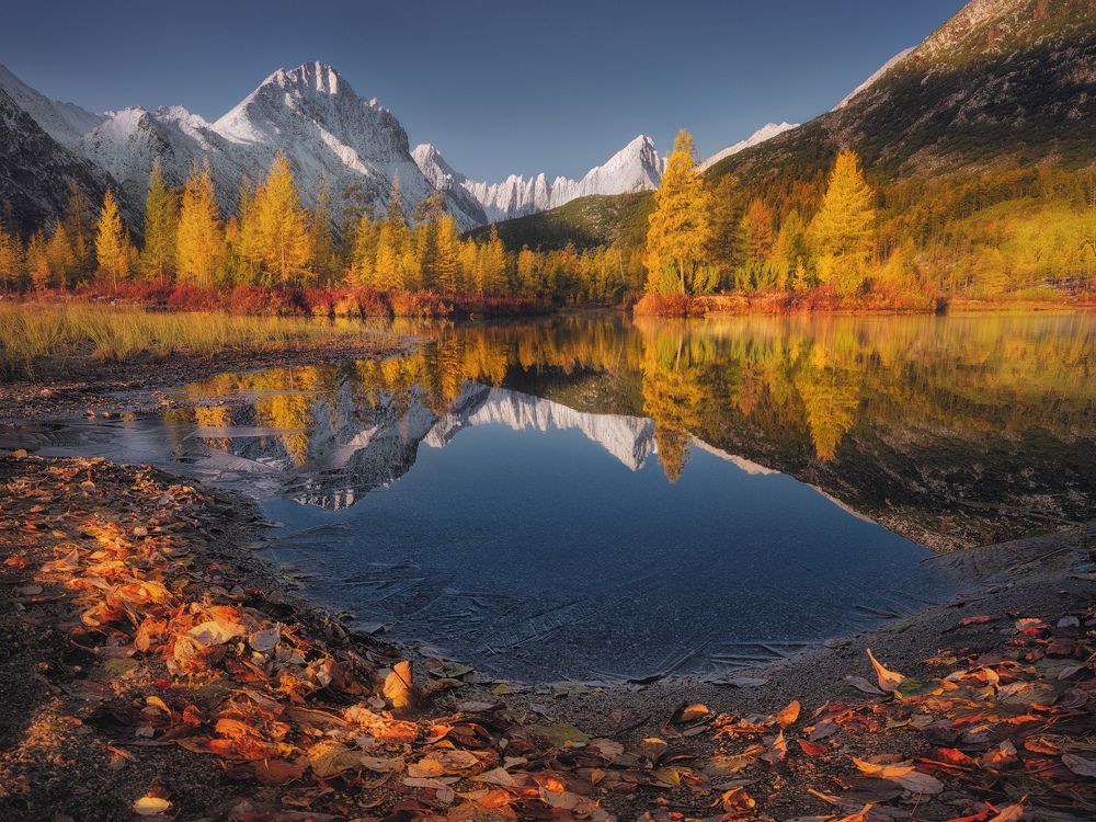 Photograph by Dmitry Medyancev