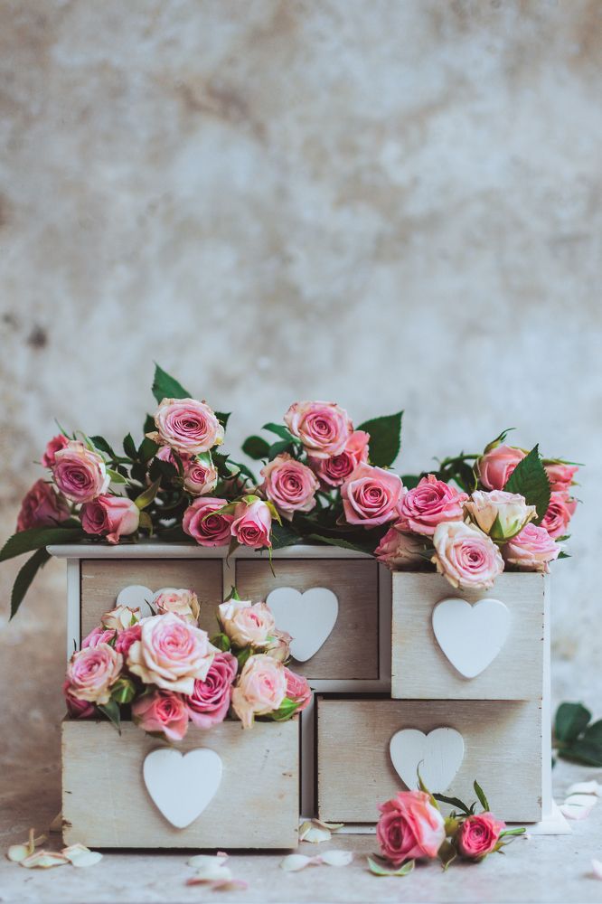 Photograph by Anna Seroczynska