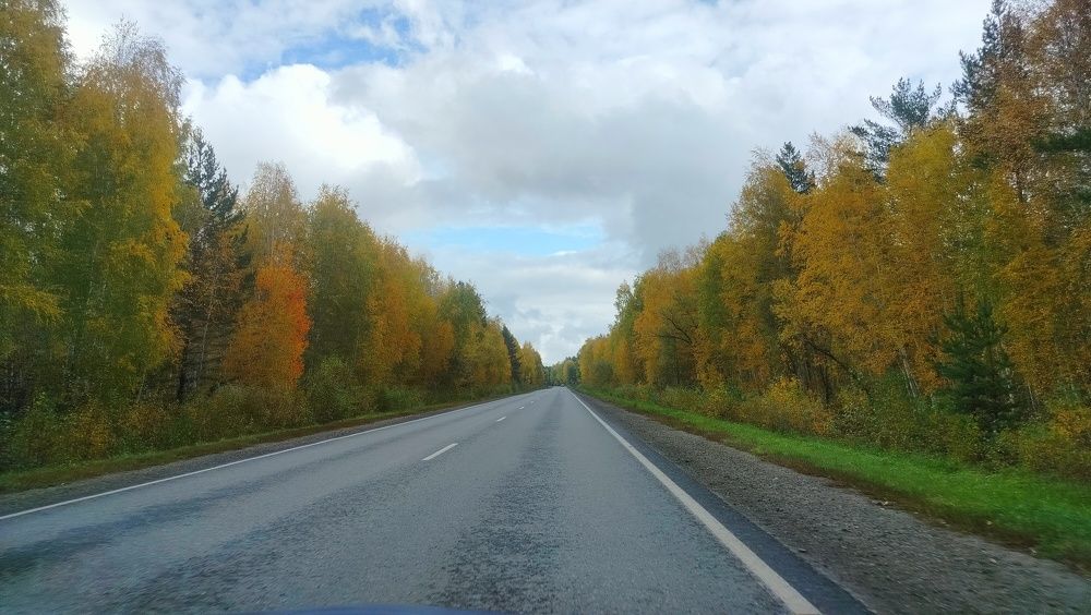 Фотография автора Татьяна Зиновьева