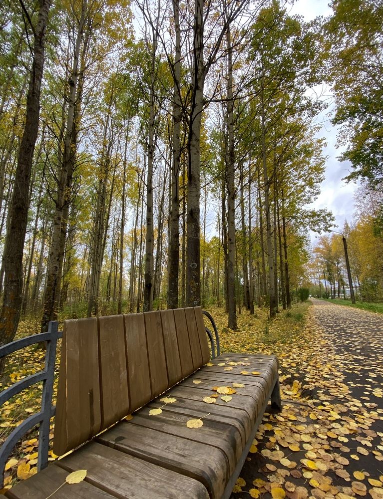 Photograph by Татьяна Рюмина