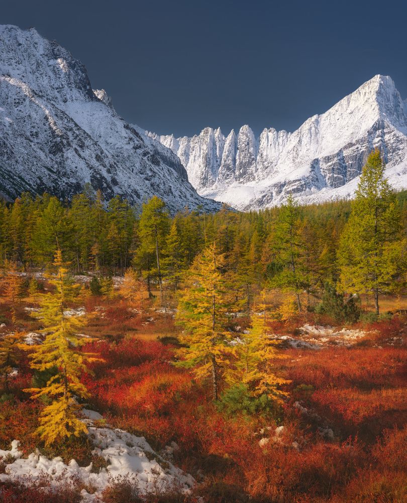 Photograph by Dmitry Medyancev