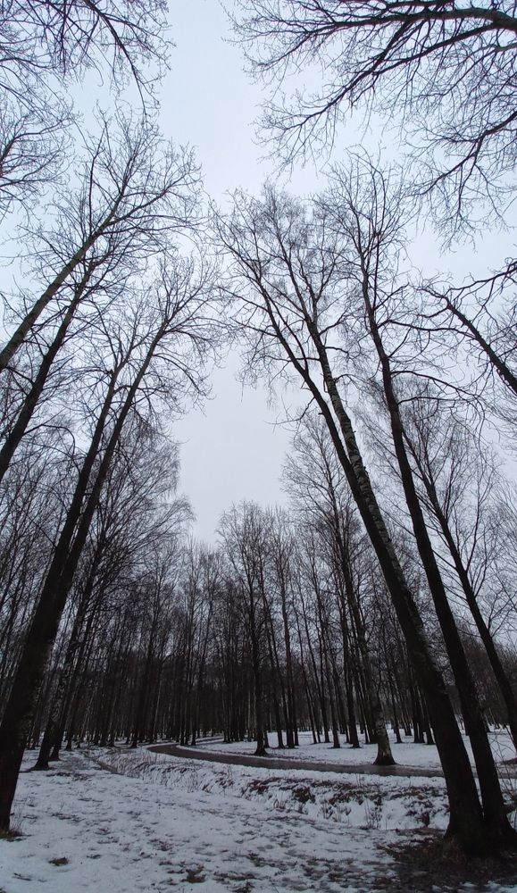 Photograph by Каковкина Ольга