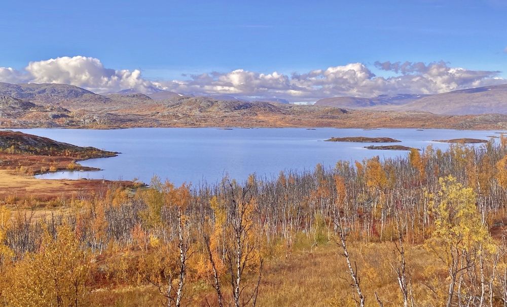 Photograph by Janina Segeda