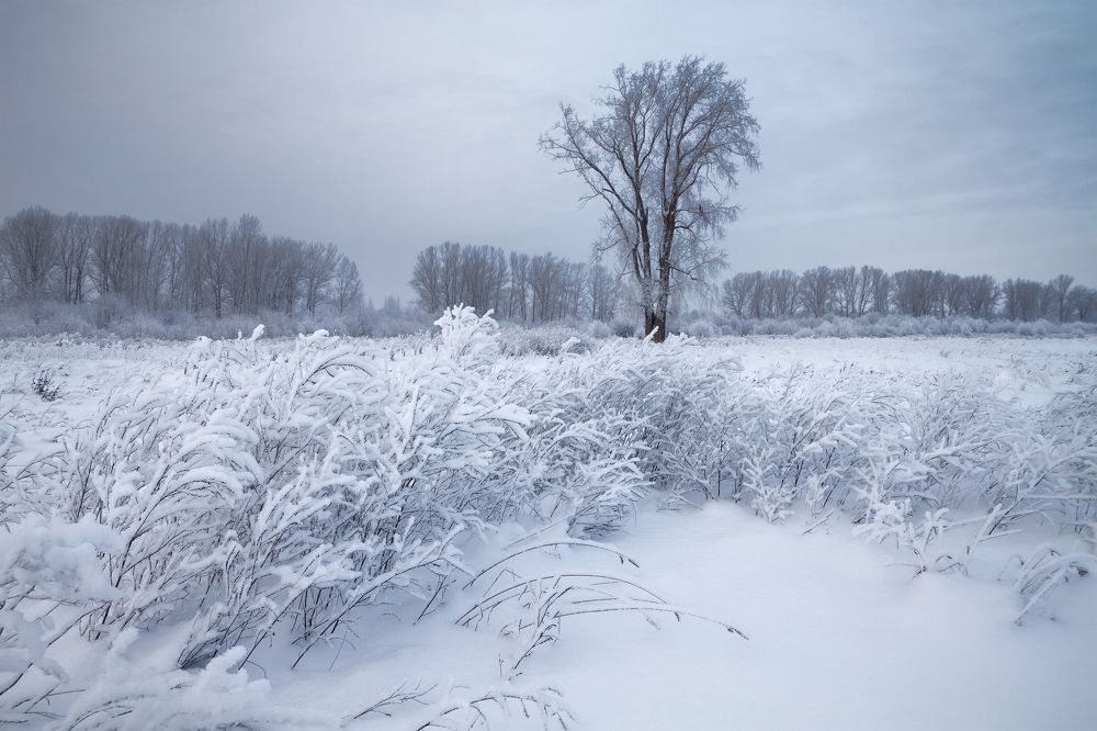 Photograph by Смольский Евгений
