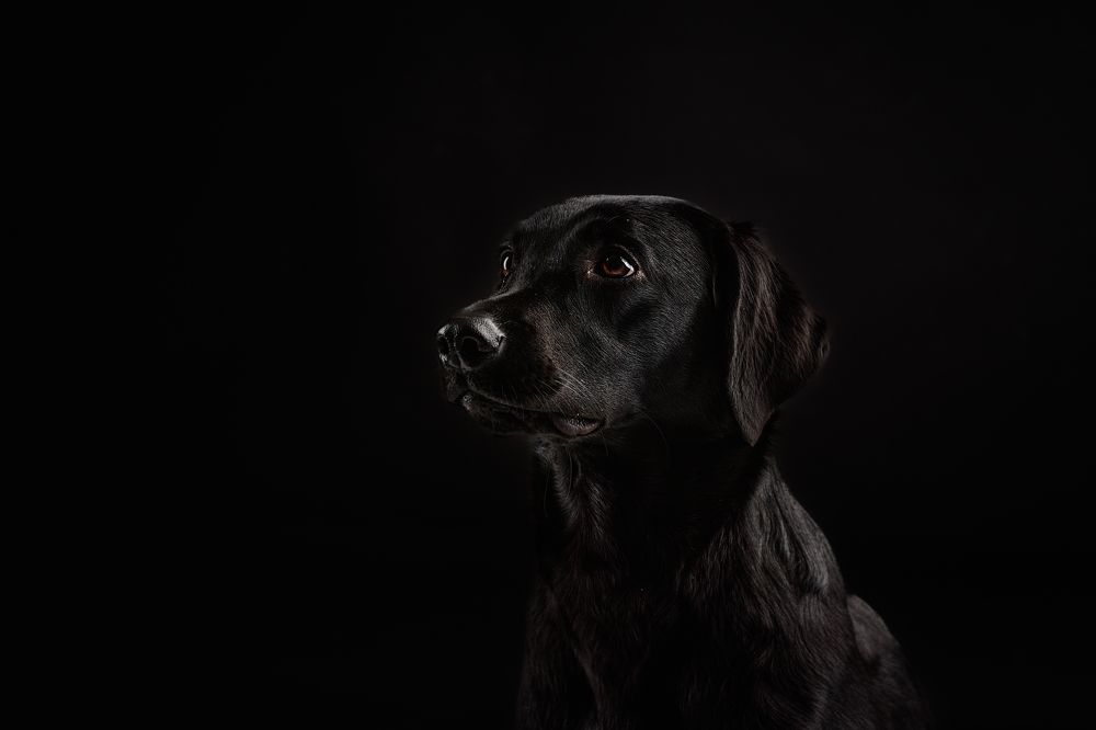 Photograph by By Meert Eline