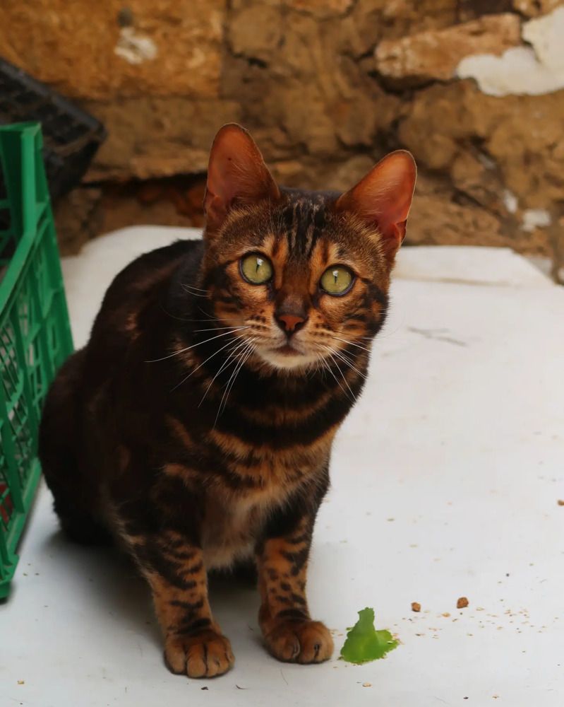 Photograph by Александра