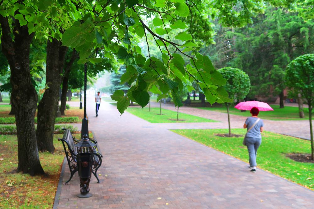 Photograph by Александра