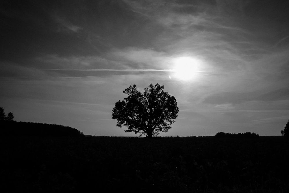 Photograph by Ирина Тушева