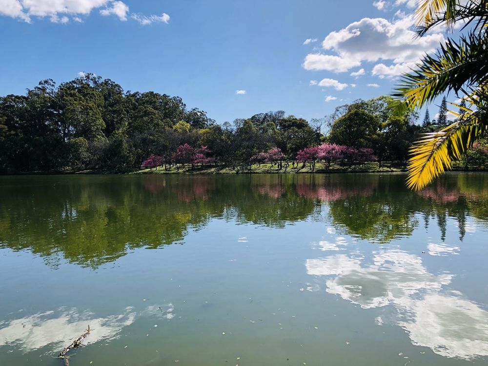 Photograph by Tina Domingos