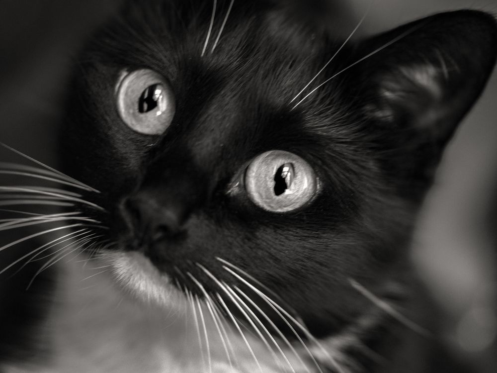 Photograph by Aleksandr Belov