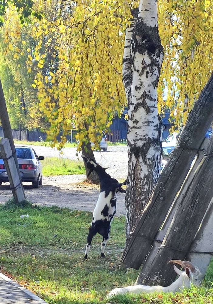 Photograph by Надежда